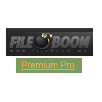 fileboom premium generator